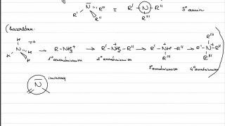 Nitrogéntartalmú funkciós csoportok
